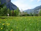 Kiki heading into the Lauterbrunnen valley